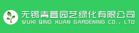 无锡植物租赁